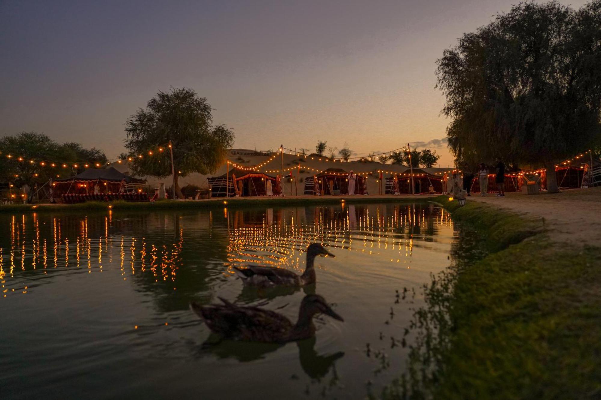 Al Marmoom Oasis Luxury Experiential Desert Resort 迪拜 外观 照片